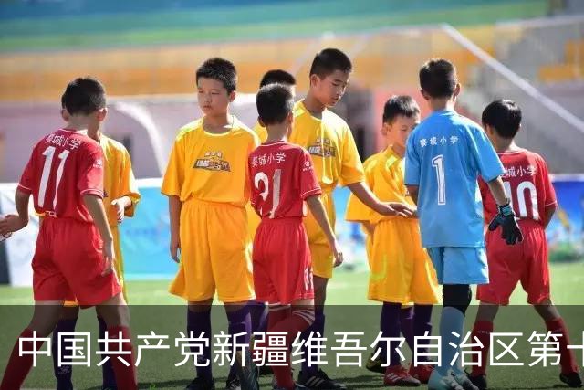 中国共产党新疆维吾尔自治区第十一届委员会常务委员会委员简历