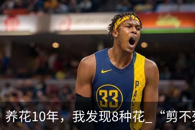 养花10年，我发现8种花 “剪不死”反而会越长越旺，比施肥都管用