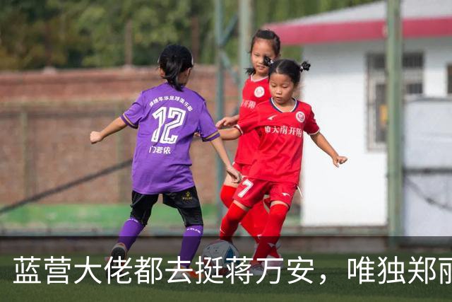 蓝营大佬都去挺蒋万安，唯独郑丽文缺席，她到底在忙什么？